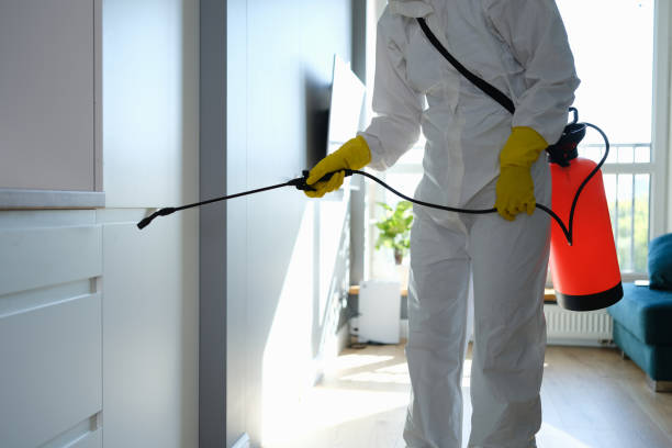 Best Toxic Mold Removal  in La Follette, TN